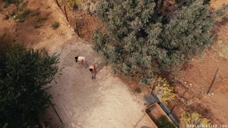 online clip 19 BrutalMaster – Lita Lecherous and Whisper Thorn on fetish porn ultimate fetish-1