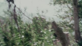 xxx video 8 The Bushwhacker - classic & vintage softcore - fetish porn fetish liza-0