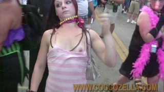 Coccozella-SiteRIP 0326-bacchus-ff2009-3-7