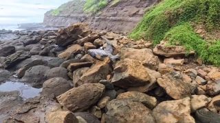 SparksGoWild - Blowjob on the Point Montañita Ecuador-1