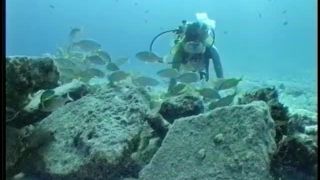 SexUnderwater e0023 Scuba Dears   Hope in Cozumel (mp4)-1