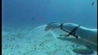 SexUnderwater e0023 Scuba Dears   Hope in Cozumel (mp4)-6