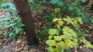 Redkittycat – Walking around City Park with Stepsister and Making Public Sex in Forest    blowjob   blowjob blowjob mother amateur -9