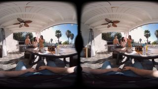 Grills Gone Wild - PS VR-1