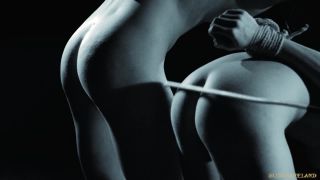 porn video 12 Candee Licious, Noa Livia - Double Shades Of Domination on bdsm porn gay bdsm pain-6