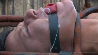 adult xxx clip 47 Sweaty Pig, Part 3 | humiliation | bdsm porn nimrod femdom-9