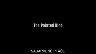 Denisa Pfauserova – The Painted Bird (Nabarvene ptace) (2019) HD 1080p!!!-0