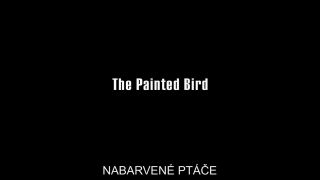 Denisa Pfauserova – The Painted Bird (Nabarvene ptace) (2019) HD 1080p!!!-1