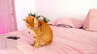 BBW Webcam: Curvy Natalia78 Showtime Live!-2