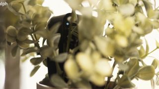 WreccItRalph – Petite Slut Wife Got Caught On Home Camera Cheating On Her Husband With Bbc – XvideosRED.-4