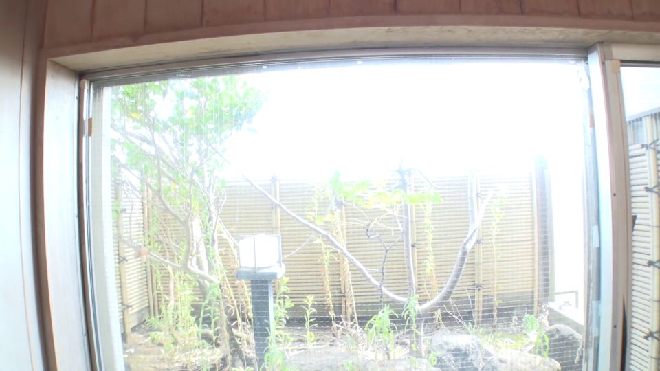 Uncover the Secrets of 012321-001.mp4: What Lies Hidden?