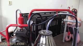 xxx clip 39 adult breastfeeding fetish Hucows – HuCow 38 – red cow milker, bondage on bdsm porn-8