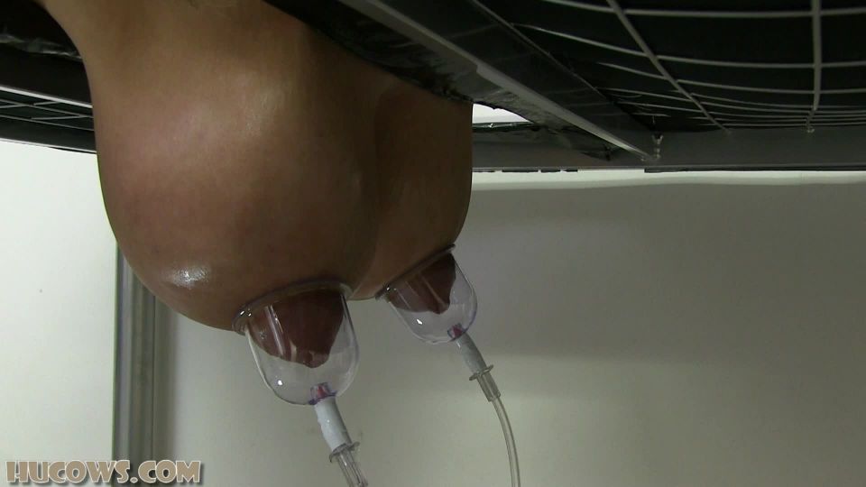 free video 11 Hucows – Katie – longer nipples | bondage | bdsm porn captioned femdom situations