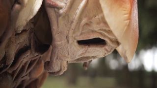 [SuperMisses.com] SPSE-66 Ayakashi Towaden Kougaigar Part 2-008-2