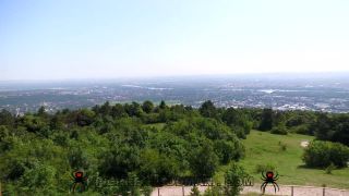 Sharon White - Xxxx - Area X69 25 07.04.20-0