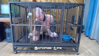 xxx video clip 42 Bondage Life – Cage Time With Greyhound | bondagelife | bdsm porn bbw tits bdsm-3