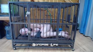 xxx video clip 42 Bondage Life – Cage Time With Greyhound | bondagelife | bdsm porn bbw tits bdsm-9