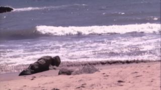 Jenna Jameson Jenna Jameson - Conquest (3)(Version 1)-5