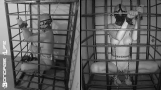 xxx video 6 Bondage Life – More Storage Time For Greyhound, furry male bdsm on bdsm porn -2