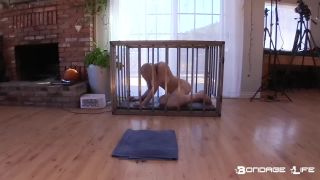 Greyhound Head Shave (BrutalMaster Edition) - 01.24.22 Qu...-6