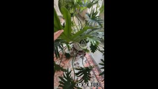 Zarasutra 2908172492 06 25 2023 Houseplants Tour  zarasutra  onlyfans-2