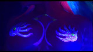 free xxx video 42 anal xxxx Lisa Sparkle and Sandra Iron Get Kinky Under UV Light, vibrator on femdom porn-1