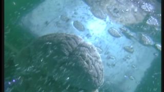 7187 DP Sally Layd - Cafe Flesh 2 Scene 3-1