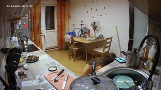 Flamy Nika 23 01 24 ariela naked cleaning 720p-7