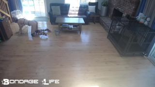 online xxx clip 49 Bondage Life – Scrub ‘n Store Rachel Greyhound - fetish - fetish porn hotwife fetish-1