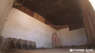 online clip 41 BondageLife – Barn Chores – Rachel Greyhound - bondagelife - fetish porn nylon fetish-3