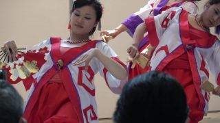 free adult clip 43 voyeur  voyeur  -6