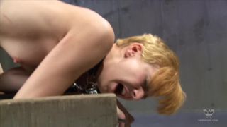 free porn clip 1 blonde and son sex femdom porn | Small tits bound and fucked | small tits-4