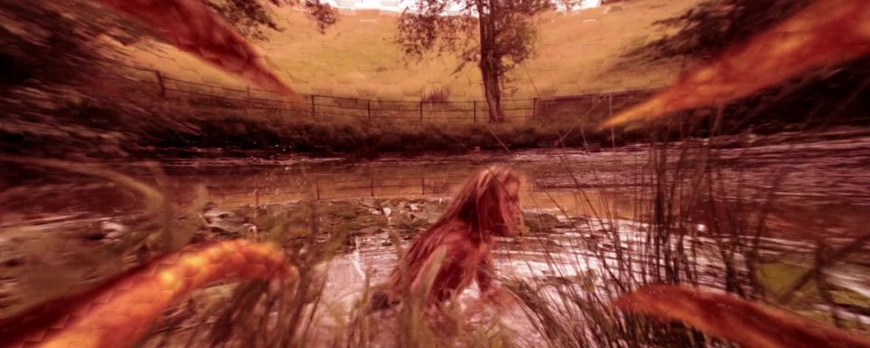 Lydie Misiek, Rosie Pearson - Cute Little Buggers (2017) HD 1080p!!!