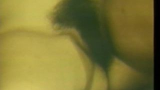 free xxx video 12 retro | hardcore porn | most hardcore porn-6