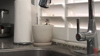 Jesse Pony Is Fucked Into Submission (Femdom porn) Jesse Pony-1