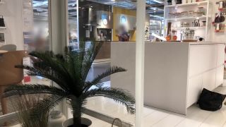 adult xxx clip 34 IviRoses Exhibitionist Public Nudity – Risky IKEA anal dildo barefoot on anal porn plug anal-4