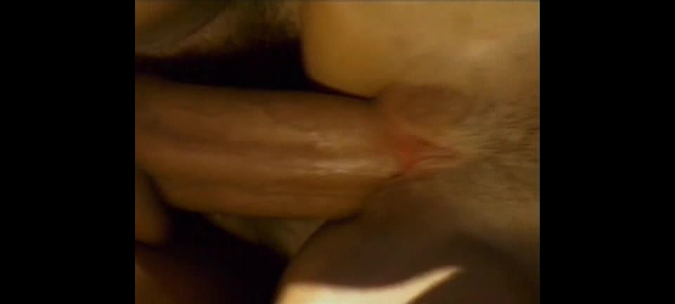 7118 DP Bambie Dolce - Brasilian Snake