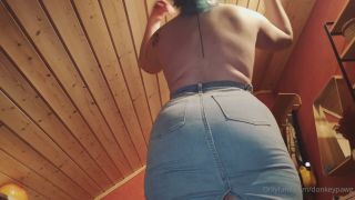 donkeypawg dp00012-9