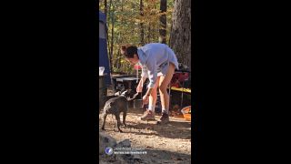 dawndesireph_dawndesireph-2023-12-19-3130036730 -1