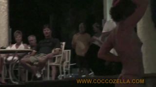 Coccozella-SiteRIP 0349-damon-contests2009-2
