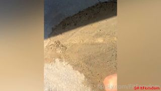 Video Fit Femdom Clip  Ddadbbdf 1080p FullHD-2