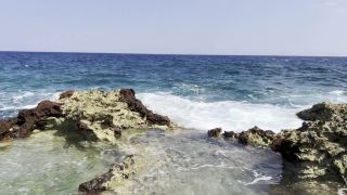 adult video clip 18 doggy style hard sex hardcore porn | MonikaFoxxx/PornHub.com - Naked Monika Fox Walking Along Reef Beach Found A Big Octopus Dildo And Fucked Her Holes [FullHD 1080p] | blu-ray-9