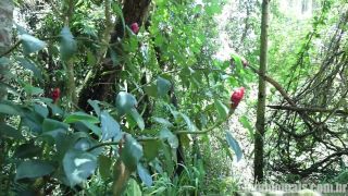 In the Woods   Danilo Amorim, Johnny Alves, Lucas Soldier, Ramon Donato & Tulio Hernandez (Bareba… – gaybbtrans.-4
