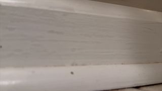 Black porn Black porn Bbybimbogamer - Busty Giantess Toys With Tiny Uninvited Guest - Games  -5