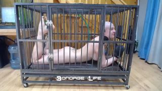 adult xxx video 7 femdom pony play bdsm porn | Bondage Life – Cage Time With Greyhound | fetish-5