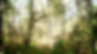online xxx video 23 HarleyHeartstop in Moka Akashiya Strip Outdoors Nude | teen | teen -1