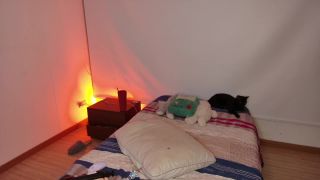 Shemale Webcams Video for September 30, 2022 – 04 Webcam!-5