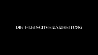 Bizarre Petplay 1 Of 3 Video Sex Download Porn-6