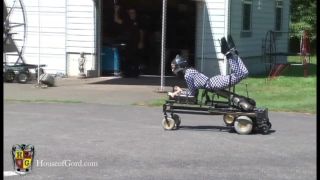 House of Gord14 05 02 Ashley Renee & The Babetona Prototype (Scene)-0