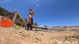 online xxx clip 46 femdom tickling Bondage Life – Pony Cart Ride – Rachel Greyhound, bondagelife on femdom porn-7